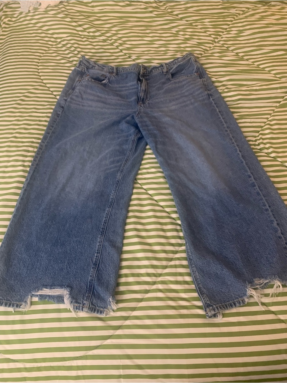 American Eagle Outfitters Distressed Wide Leg Jeans - Blue